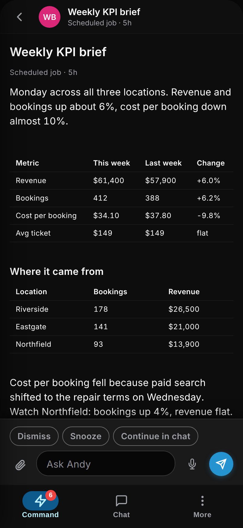 The Andy app on a phone: a scheduled job's delivered KPI card with a revenue, bookings and cost per booking table